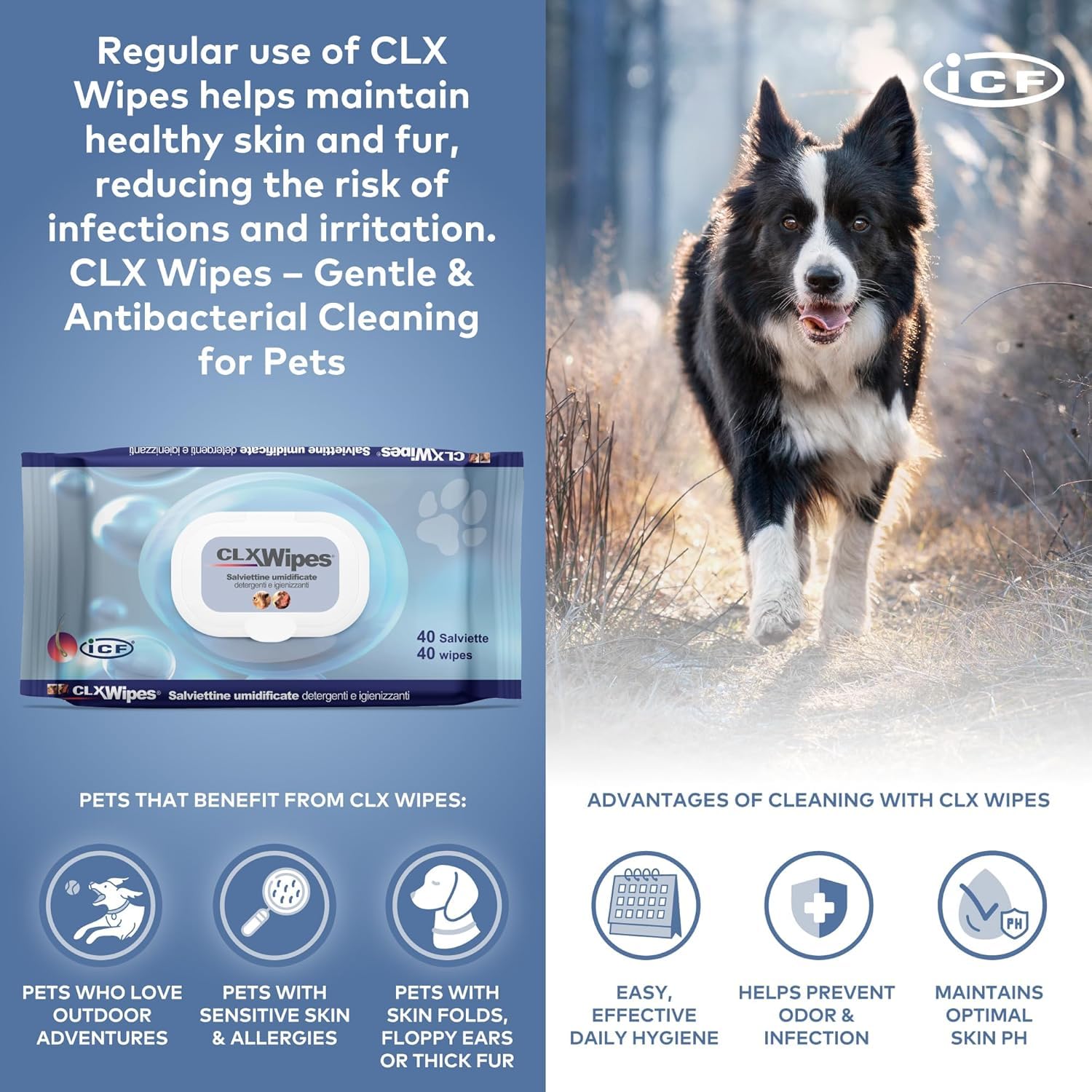 Generico CLX Wipes 40 Pezzi – Salviette Detergenti Delicate per Cani e Gatti – Igiene Quotidiana Pratica per Pelle, Zampe e Pliche - 2 Confezioni, 80 Pezzi Totali