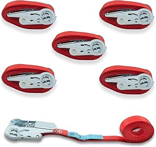 DoZurr 700 - Juego de 5 Correas tensoras con Mini trinquete, para flejes, soporta hasta 700 kg, 25 mm de Ancho x 4 m de...