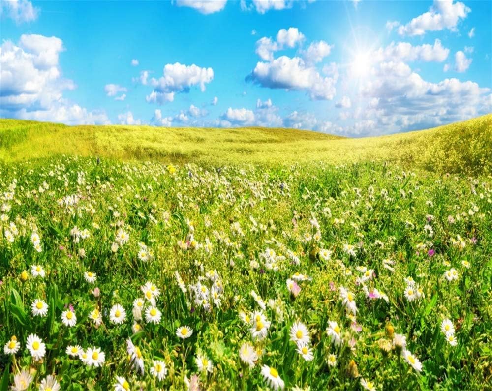 Amazon.com : AOFOTO 7x5ft Spring Sunny Wildflowers Meadow Background ...