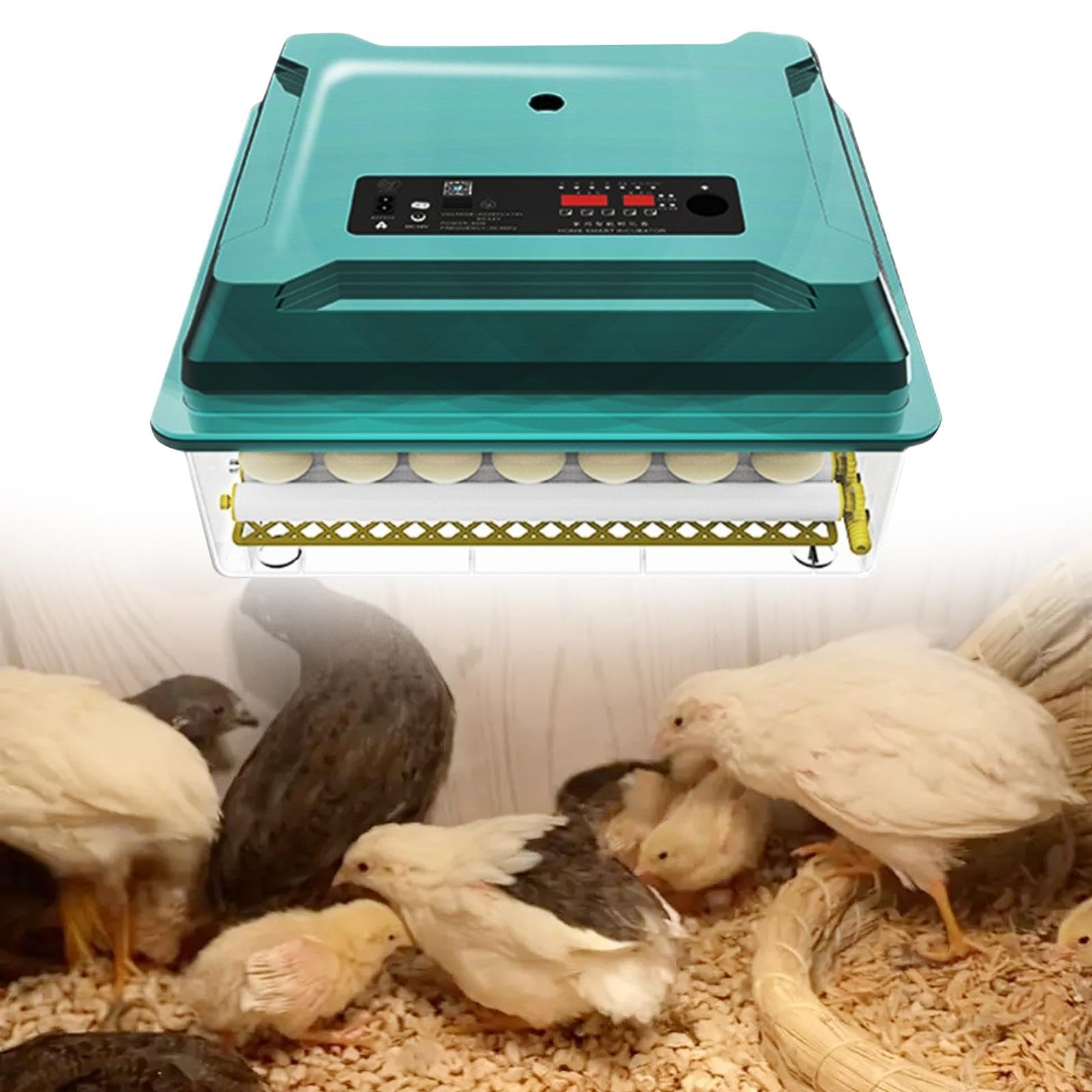 Fityle Mini Incubateur Œufs 4 Œufs - Tournage Auto Pour Poules, Canards, Cailles