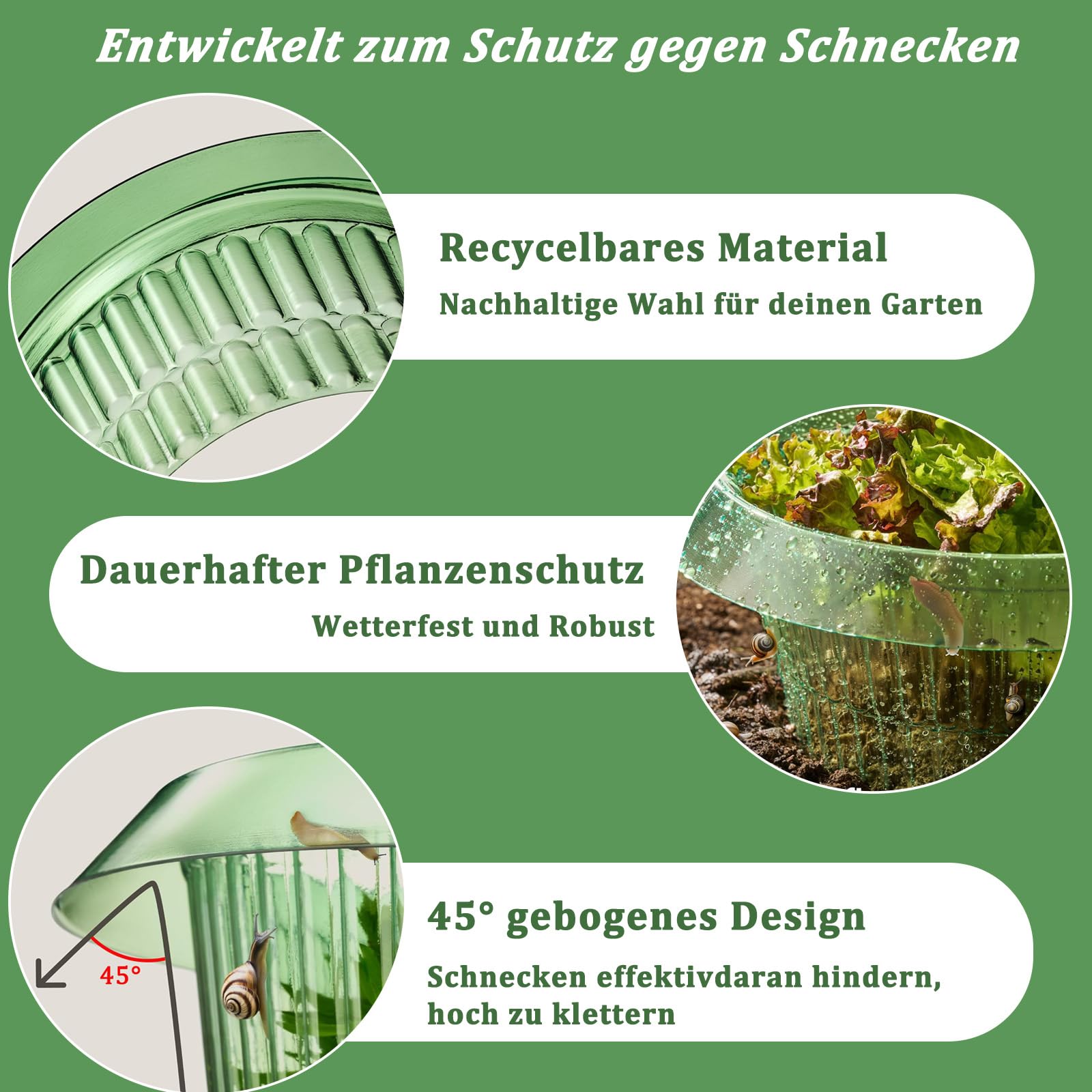Collare Anti-lumache, Protezione Anti-lumache, Granuli Anti-lumache, Protegge le Piante Senza Agenti Chimici (12 PZ)