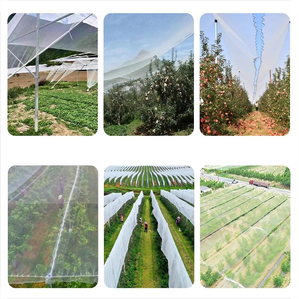 Red de Protección contra Granizo, Malla Antigranizo Reutilizable Alta Resistencia con Hilos Reforzados para Huerto Plantas de Jardín, Resistente a Desgarros, Malla de 5 mm(3 x 100 m/9.8 x 328.1 ft)