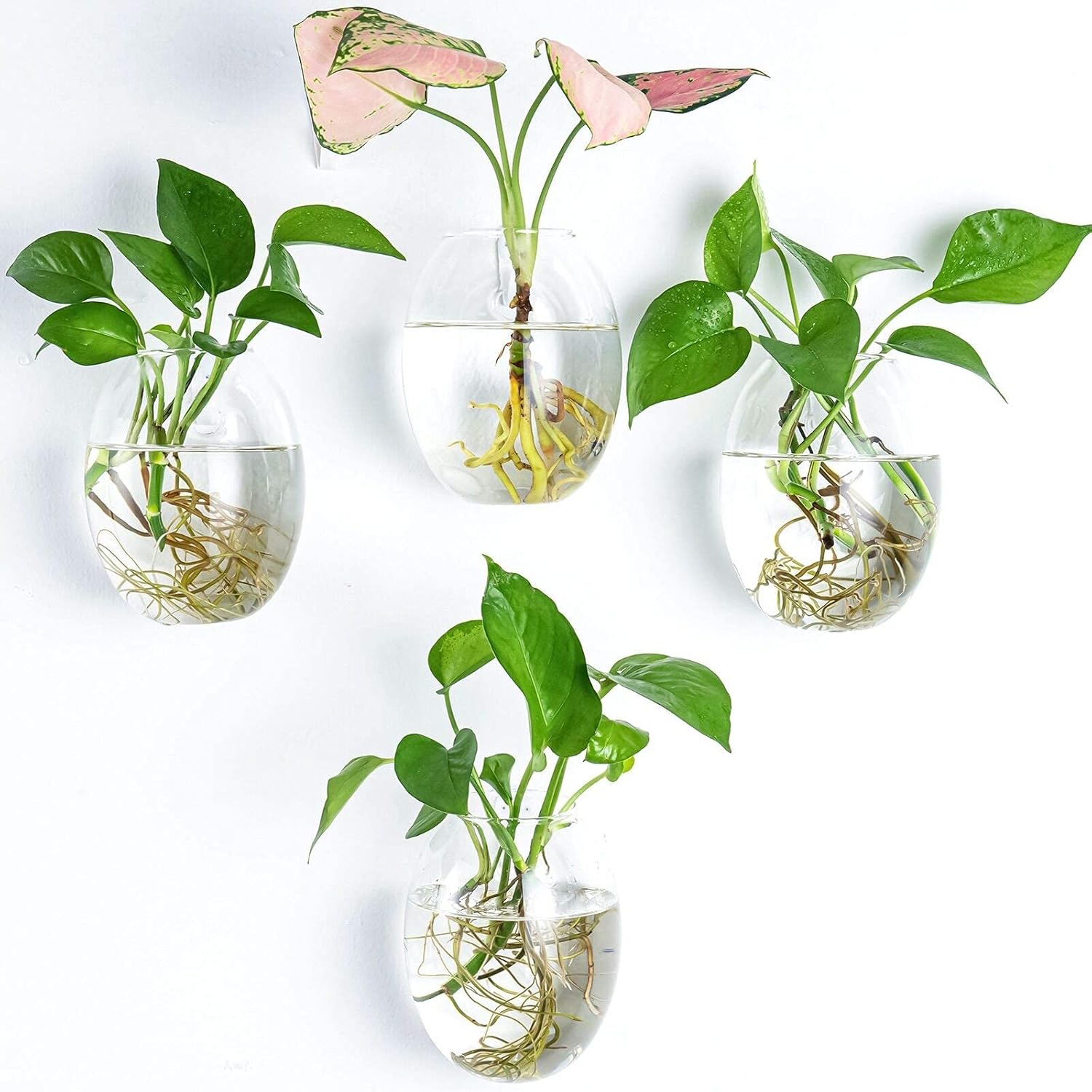 Kingbuy Wall Hanging Planter Glass Terrarium Propagation Station 4 Egg Shaped Vase and 3 Large Hexagon Shaped Vase for Home Office Decor