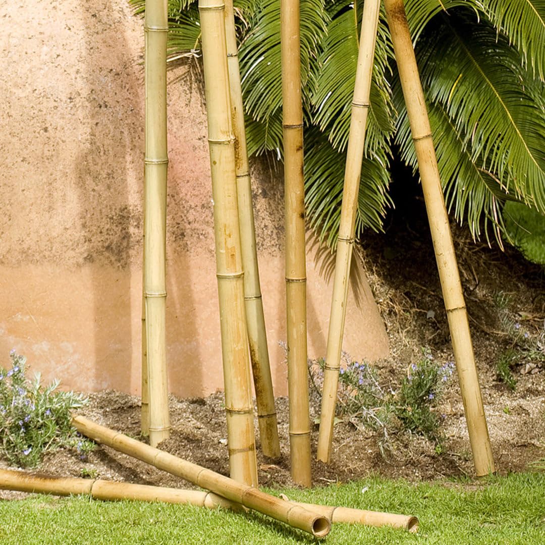 Tutor decorativo bamboo deco 35-40 mm 2.4 m nortene