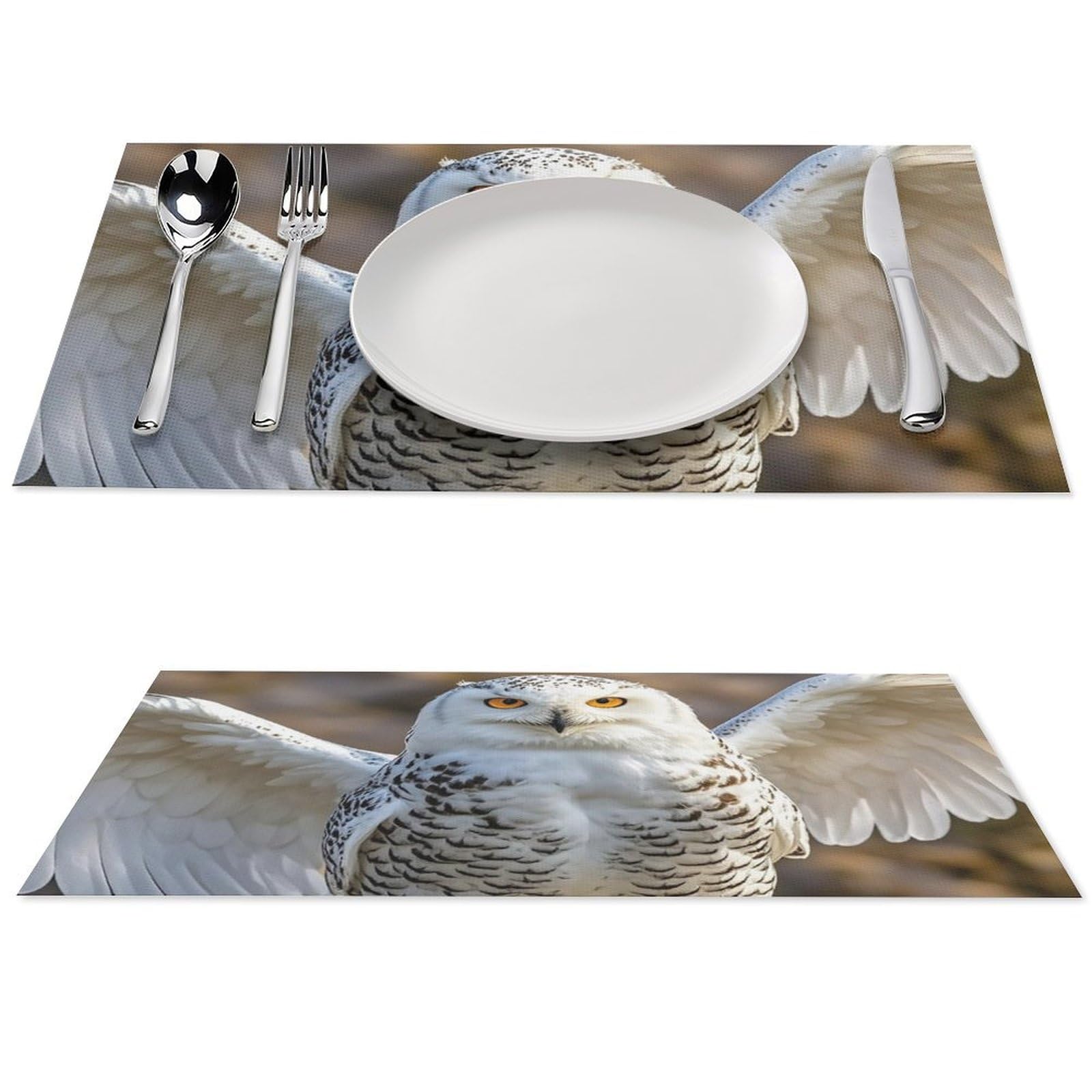 Sets de table hiboux des neiges pour repas sur la terrasse et en cuisine