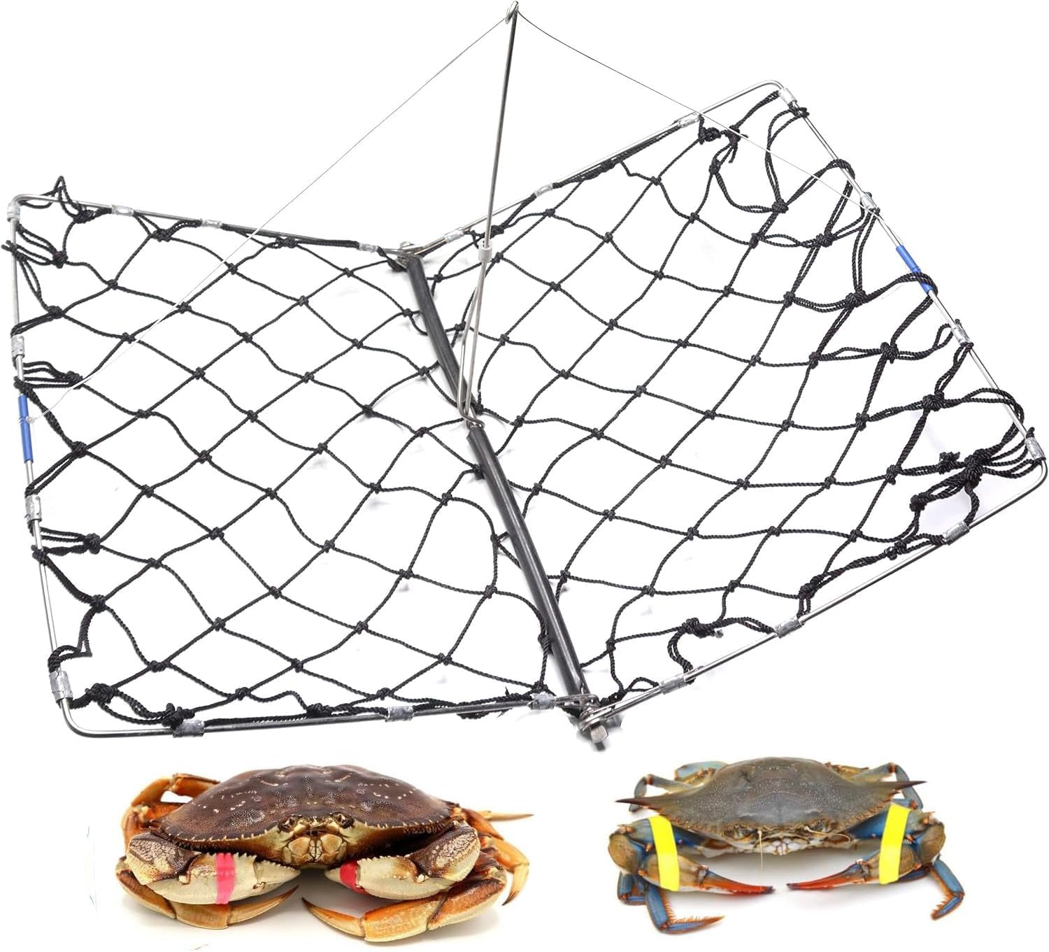 AirFly Ultimate Crabbing & Measuring Kit – Foldable Crab Trap + Folding Fish Ruler