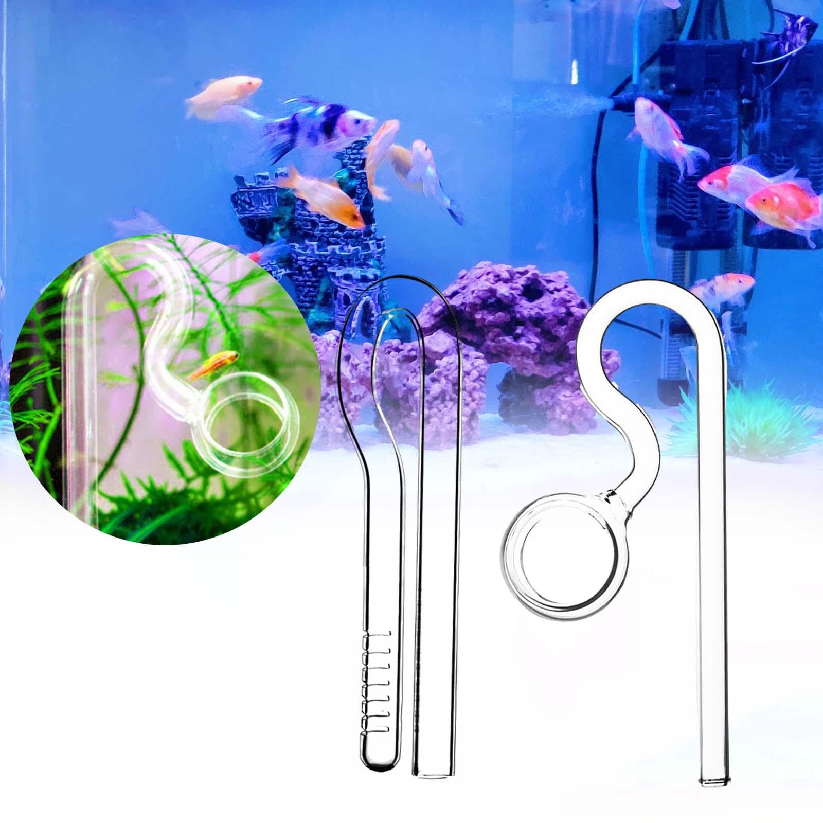 Glas Lily Pipe Einlauf, Violetter Auslauf, Aquarium, Bepflanztes Becken, Aquascaping, 10mm