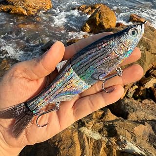 17Cm 43G Two Section Shad 3D Realistic Fishing Lure with Soft Tail