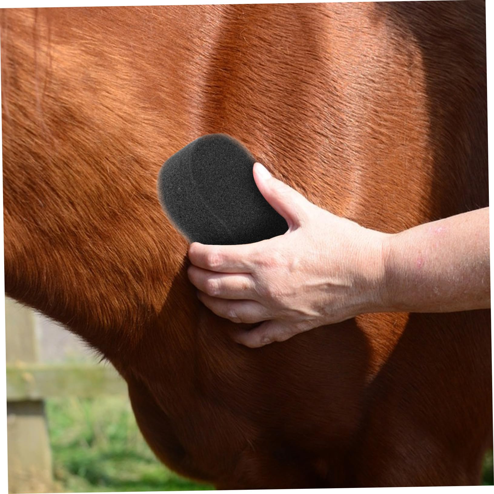SUPVOX Set 5 Spugne per Pulizia del Corpo Equino, Accessori per Bagno Equini, Salviette in Spugna Morbida per Toelettatura e Cura degli Equini