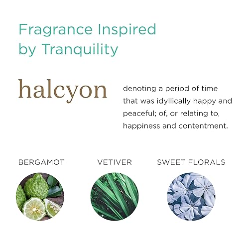 Miniatura 4 de MKS eco WOW Oilixir - Aceite multiusos para el cabello y la piel, aroma Halcyon, 2 onzas líquidas, libre de siliconas, limpiadores de sulfatos,