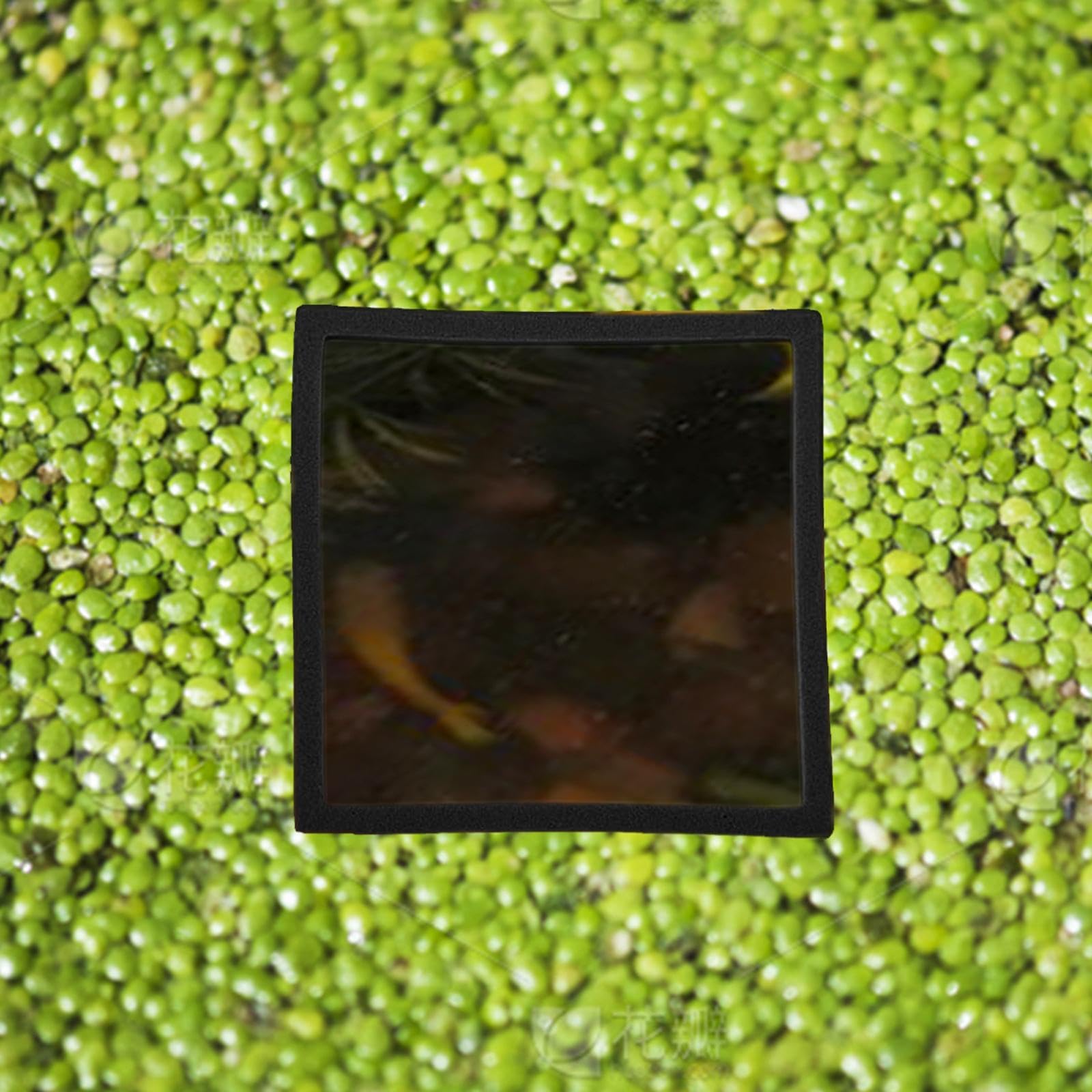 Plante Flottante D'occasion - Accessoires Animaux