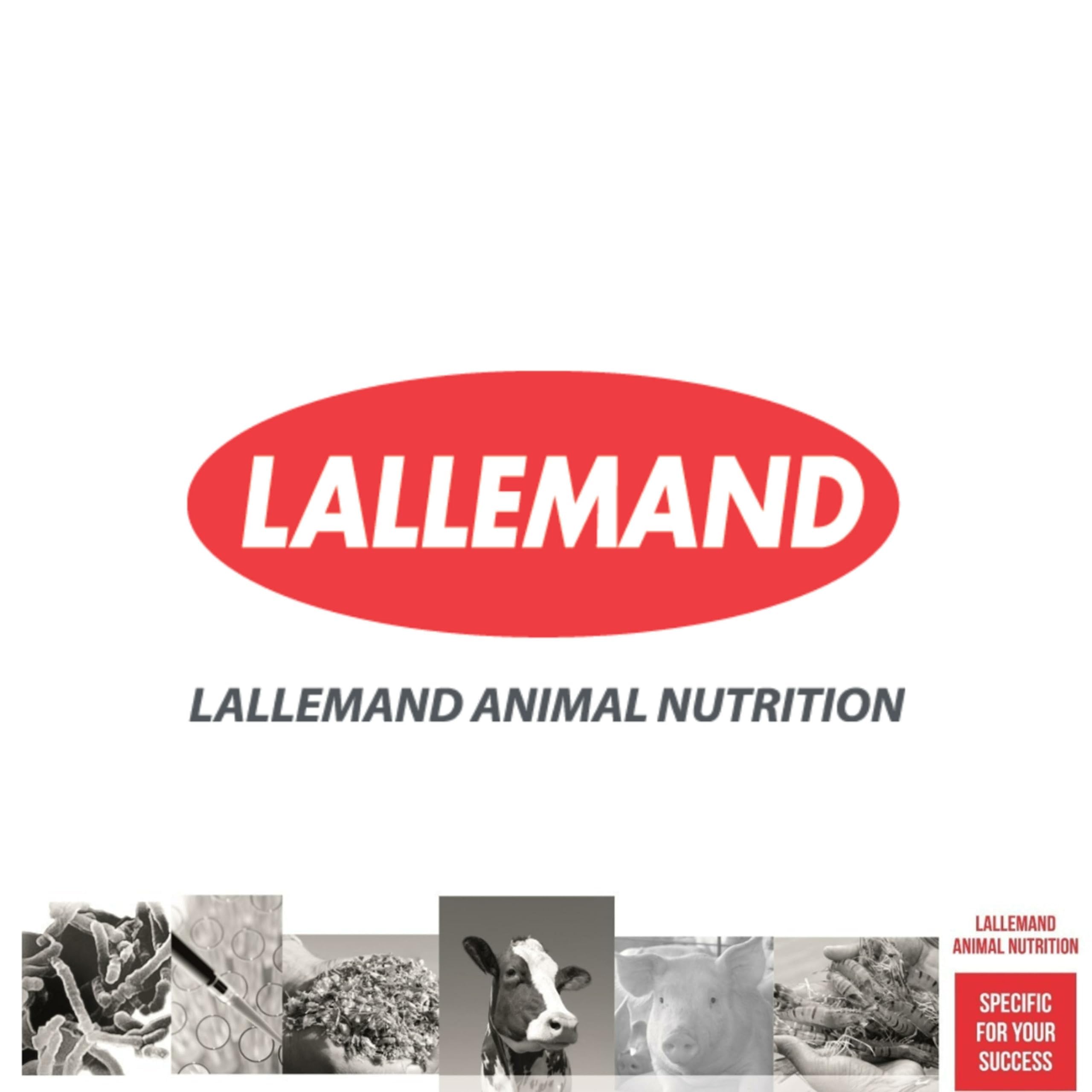 Lallemand Brasil