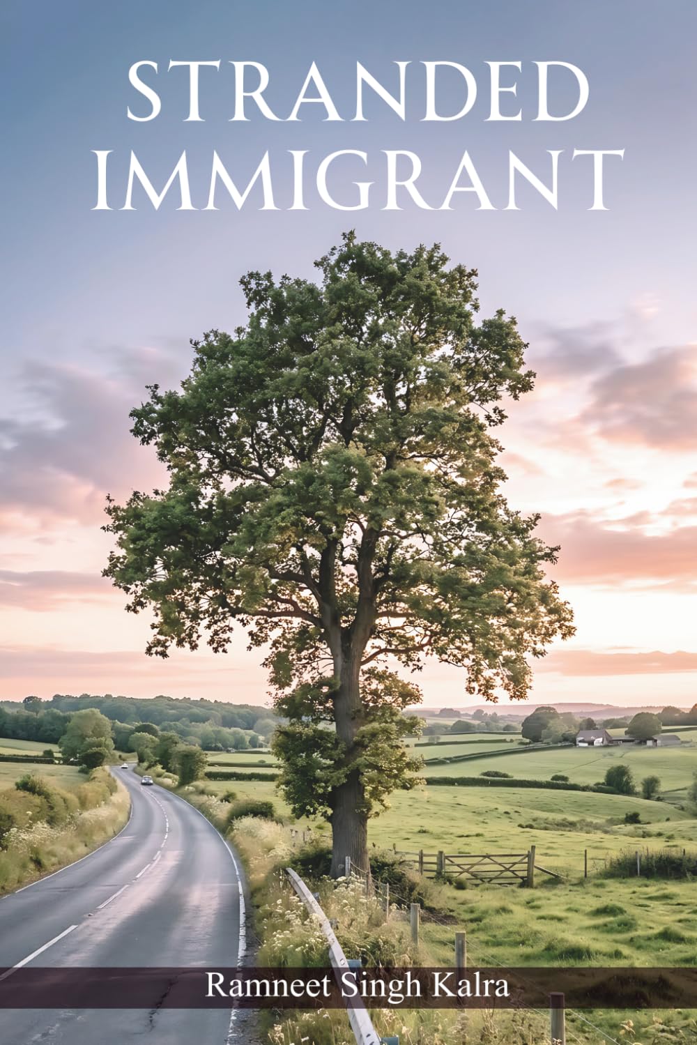 Stranded Immigrant: Poetic Thoughts on Immigration
