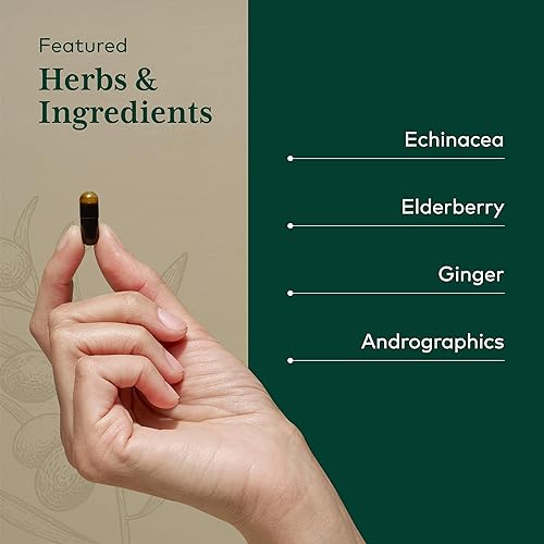 Miniatura 4 de GAIA HERBS PRO Activador inmunológico - Suplemento de apoyo inmunológico - Cuenta con equinácea, raíz de jengibre, saúco y andrographis - vegano,