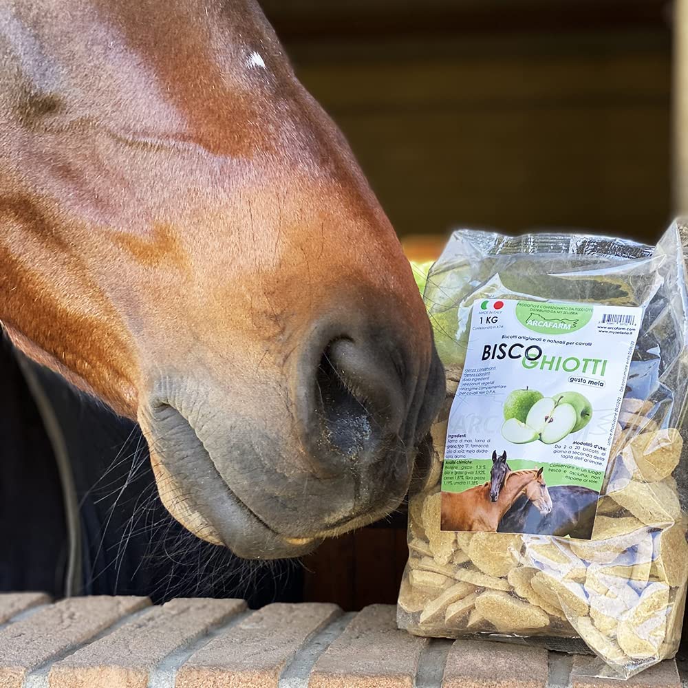 Biscotti Artigianali alla Carota per Cavalli 1 kg Made in Italy