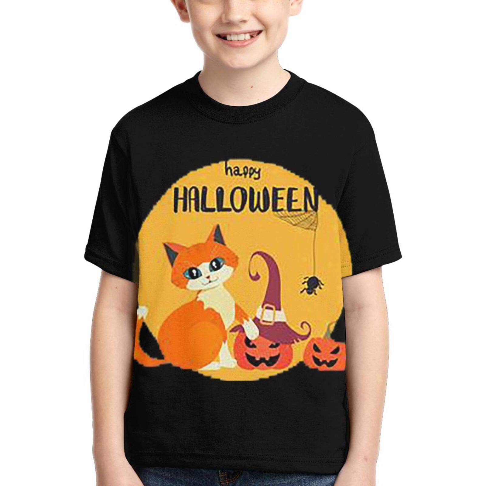 250 Watt Paging Power Amplifier