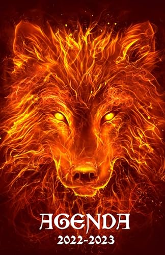 Agenda scolaire 2022 - 2023: Agenda journalier pour collège et lycée | Organisateur scolaire pour planifier et réussir votre année scolaire | Agenda scolaire avec emploi du temps et calendrier