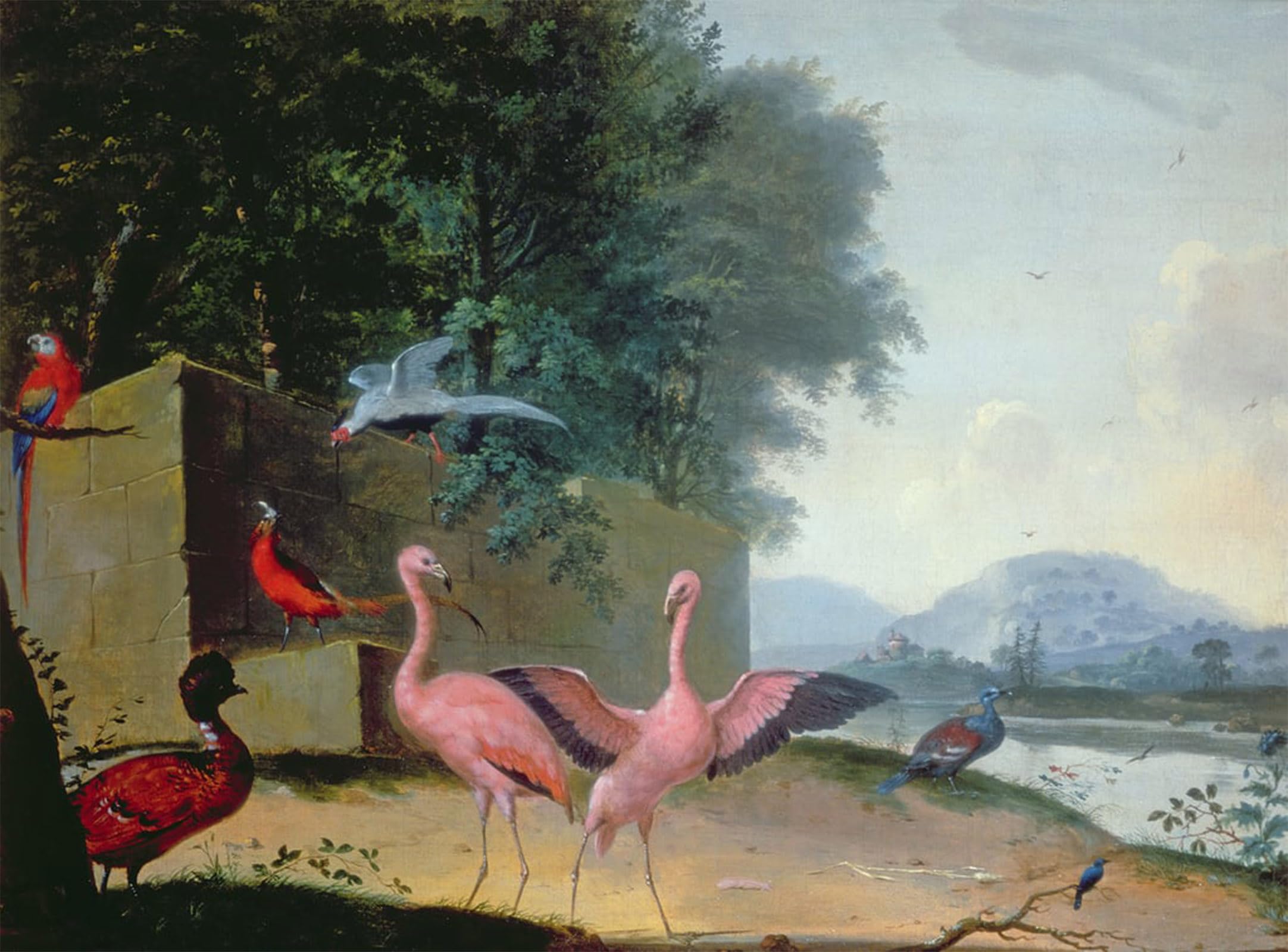 POSTERIIk Vintage Art Print Images Pictures Print an Assembly of Exotic Birds Including es Parrots by Gerrit Van Honthorst Modern Colour Posters for Office Home Decor 60x90cm