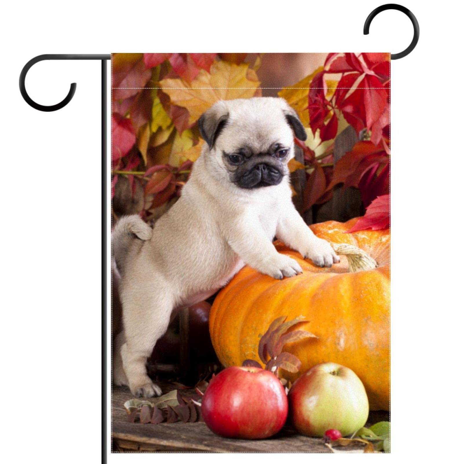 Hello Fall Gartenflagge Mit Mops & Kürbissen – Doppelseitig, 32,5x45,7 Cm, Herbst-Deko