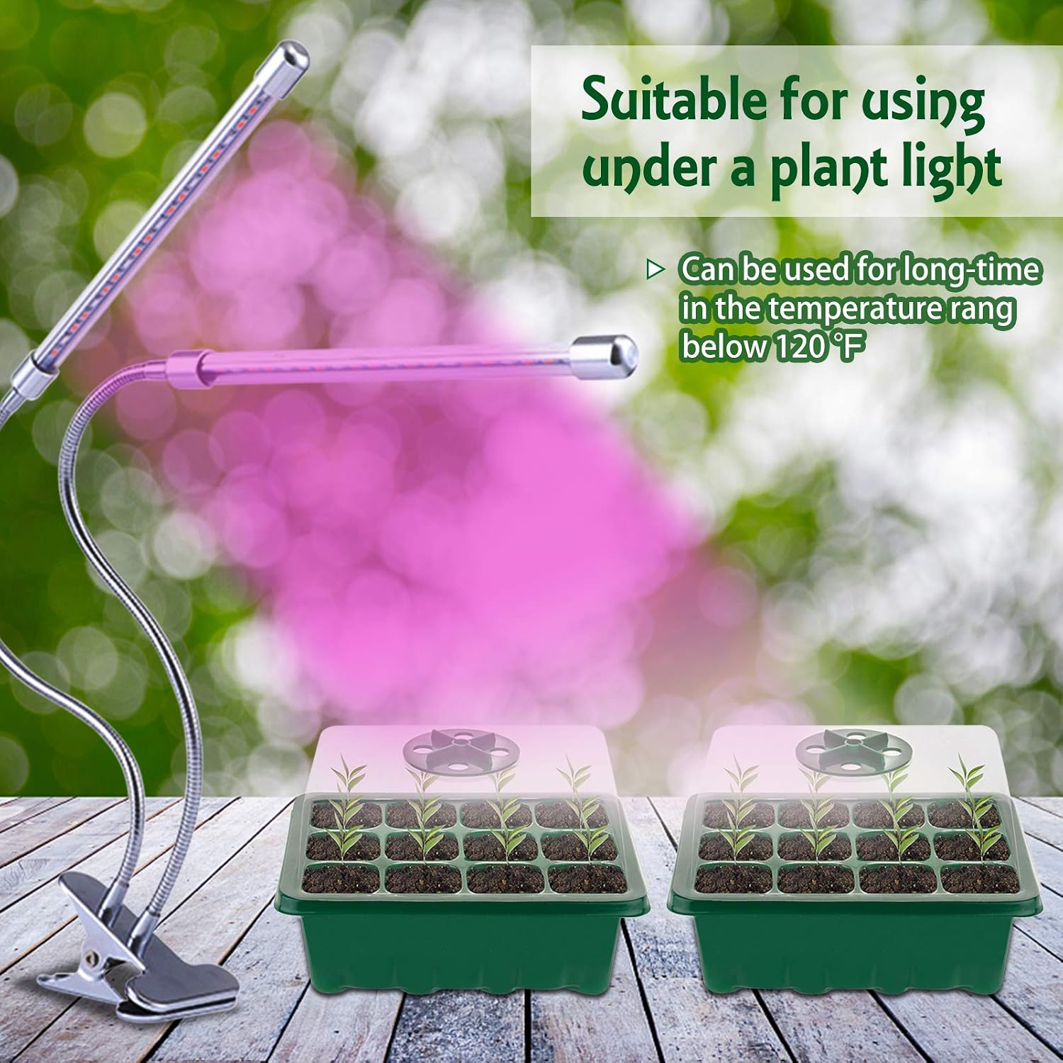 Legigo 20 Pack Seed Trays Seedling Starter Tray, 240 Cells Plant Germination Tray with Humidity Dome and Tray Base for Seeds Starting(12 Cells Per Tray), Green