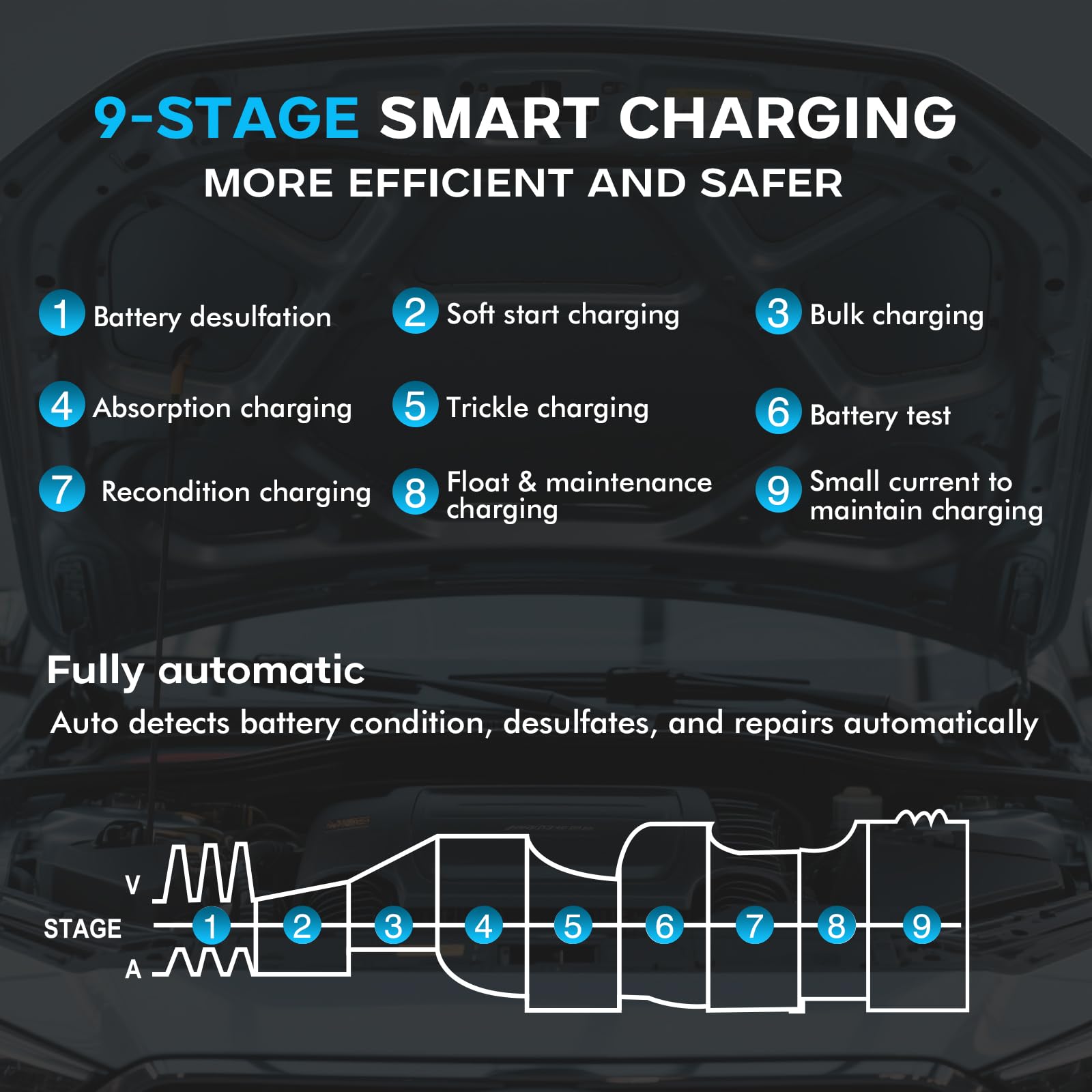 45A 6V/12V/24V Autobatterieladegerät-Haisito Intelligentes Ladegerät mit LCD-Display, Batteriepfleger,Erhaltungsladung&Entsulfatierung für AGM,Lithi,LiFePO4,Blei-Säure(Motorrad Wohnmobil, Caravan)