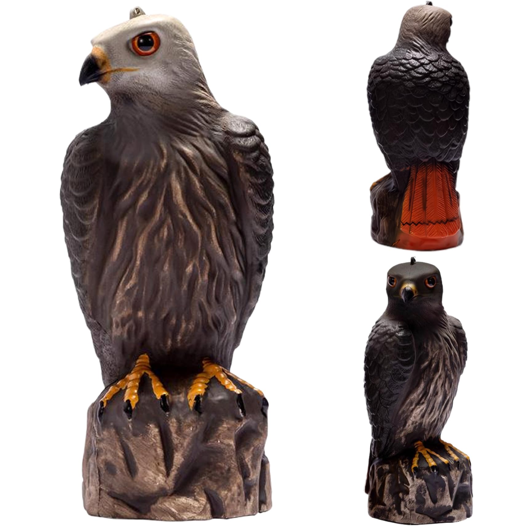 Effaroucheur oiseaux extérieur avec textures claires pour terrasse