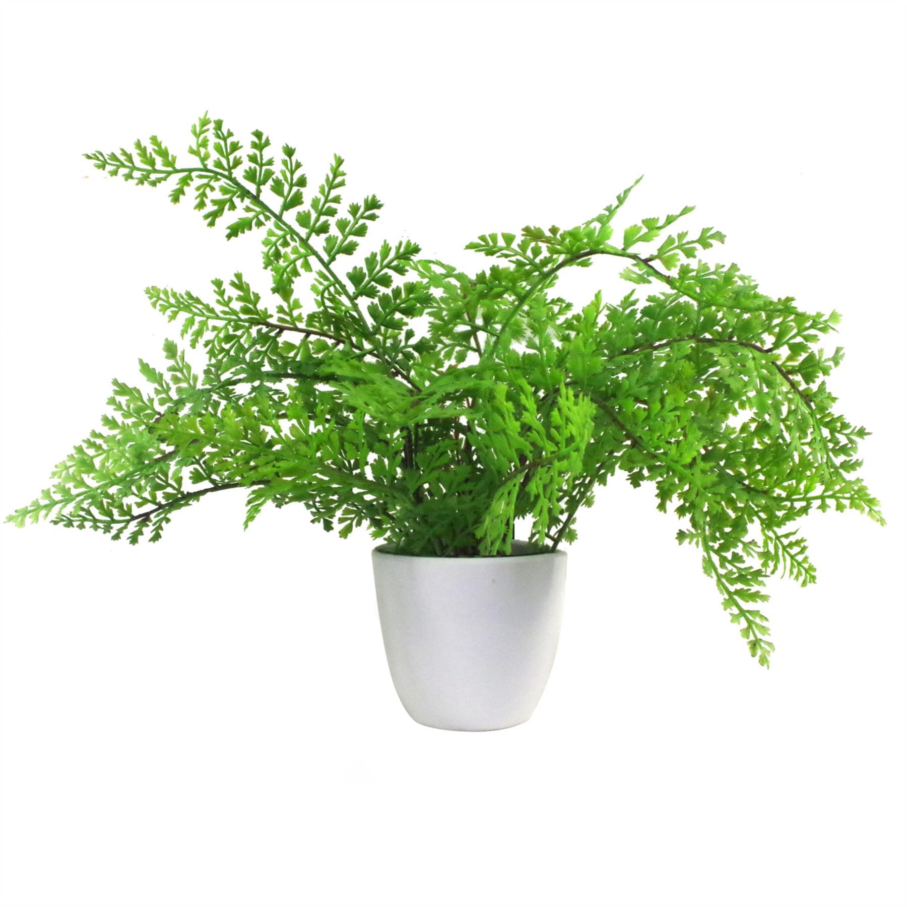 Botanik Premium Artificial Fern Grass
