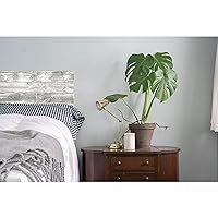 Vista 5 de BarnwoodUSA Tablas de madera recuperada real - Paneles de encaje fácil con clavos para paneles de pared de madera rústica