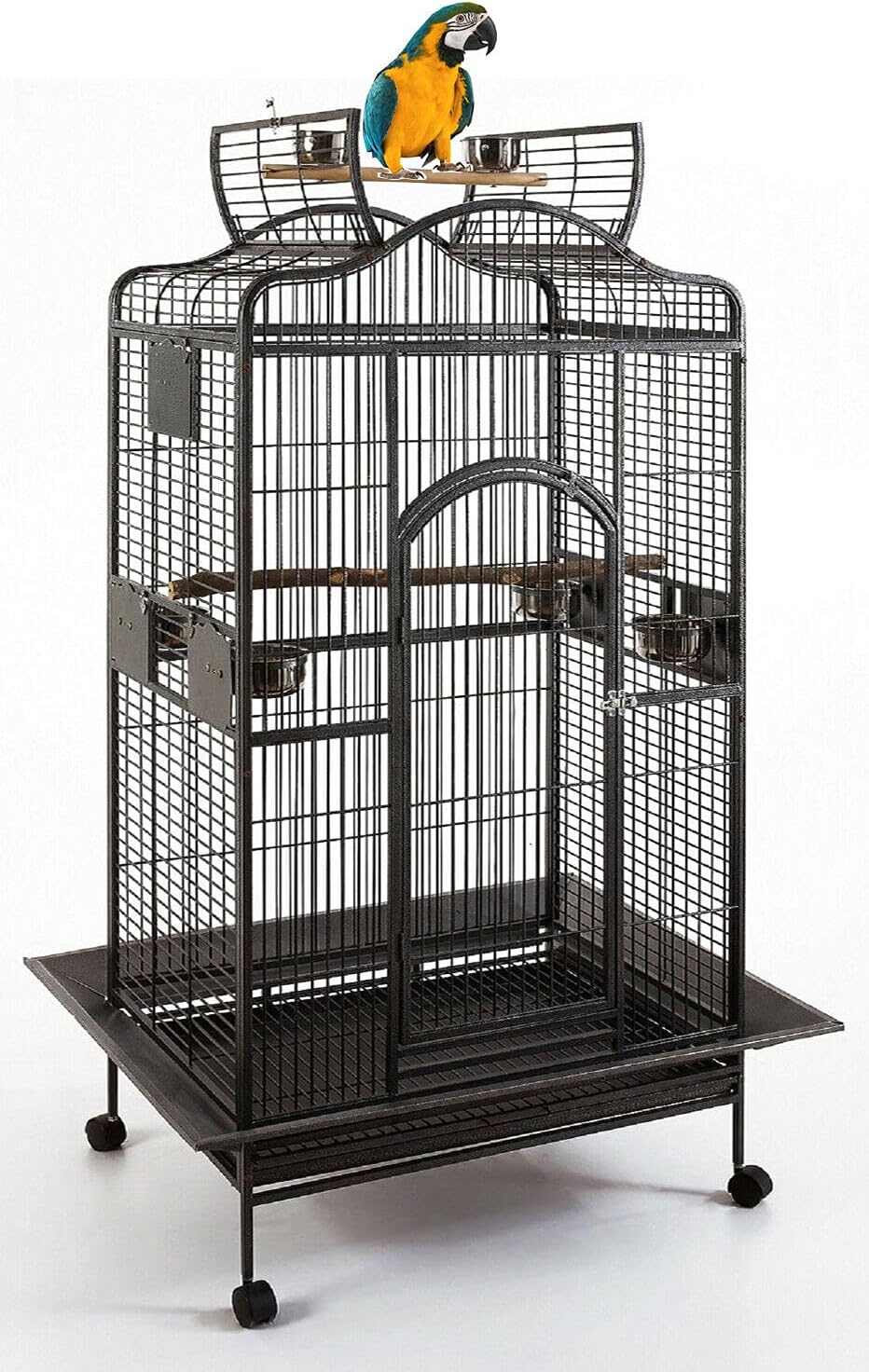 Extra Large 32" Wx23 Lx56 H Wrought Iron Dome Top for Macaw Goffin's Cockatoo Cockatiels African Grey Amazon Parrots Green Cheek Conures Caique Bird Cage with Rolling Stand