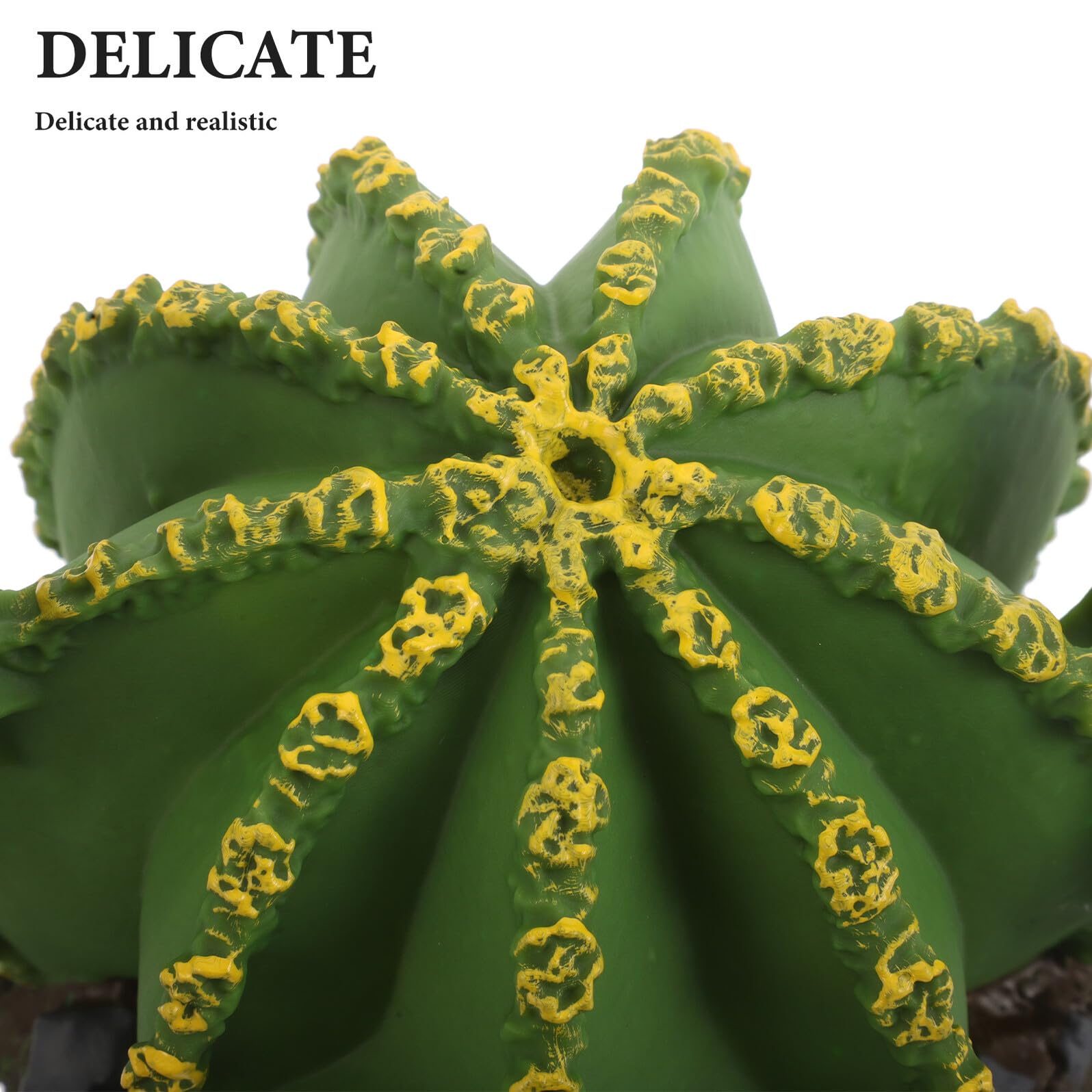 ibasenice 3pezzi Alberi Miniatura Realistici per Decorazione Paesaggistica di Acquario Accessori per Habitat di Rettili Piante di Cactus Simulati Elementi di Paesaggio per Acquario