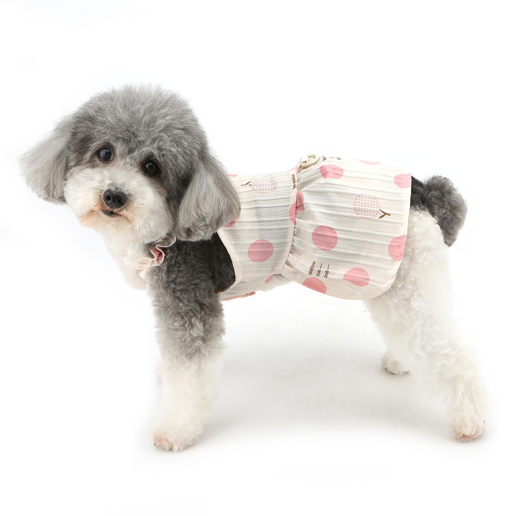 Abito Estivo Principessa Per Cani Piccoli – Vestito Floreale Con Ananas, D-ring Per Guinzaglio, In Cotone Traspirante, Taglie XS A XL Per Chihuahua, Yorkie E Simili - Foto 3