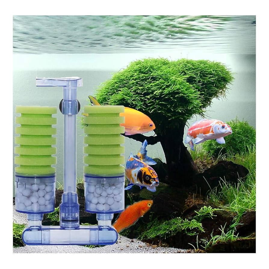 Fish Tank Setup With Sponge Filter: Ultimate Guide for Crystal Clear Water