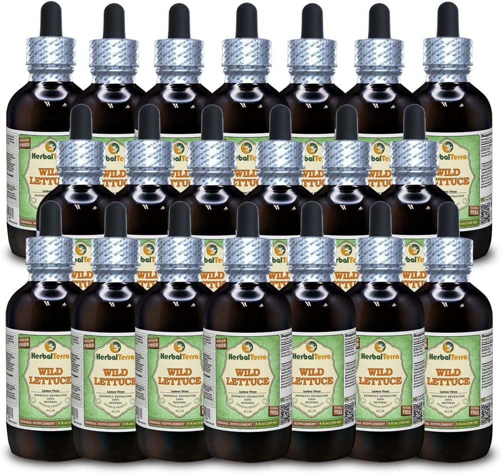 Wild Lettuce (Lactuca Virosa) Tincture, Dried Herb Liquid Extract (Brand Name: HerbalTerra, Proudly Made in USA) 4x4 fl.oz (4x120 ml)