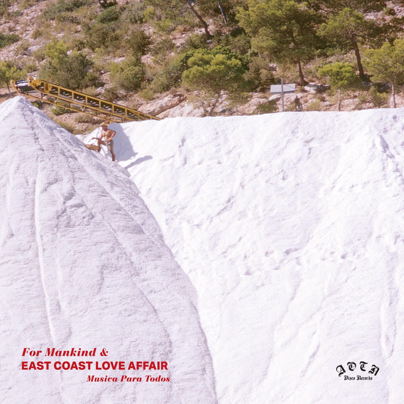 EAST COAST LOVE AFFAIR - Musica Para Todos - Vinyl (LP)