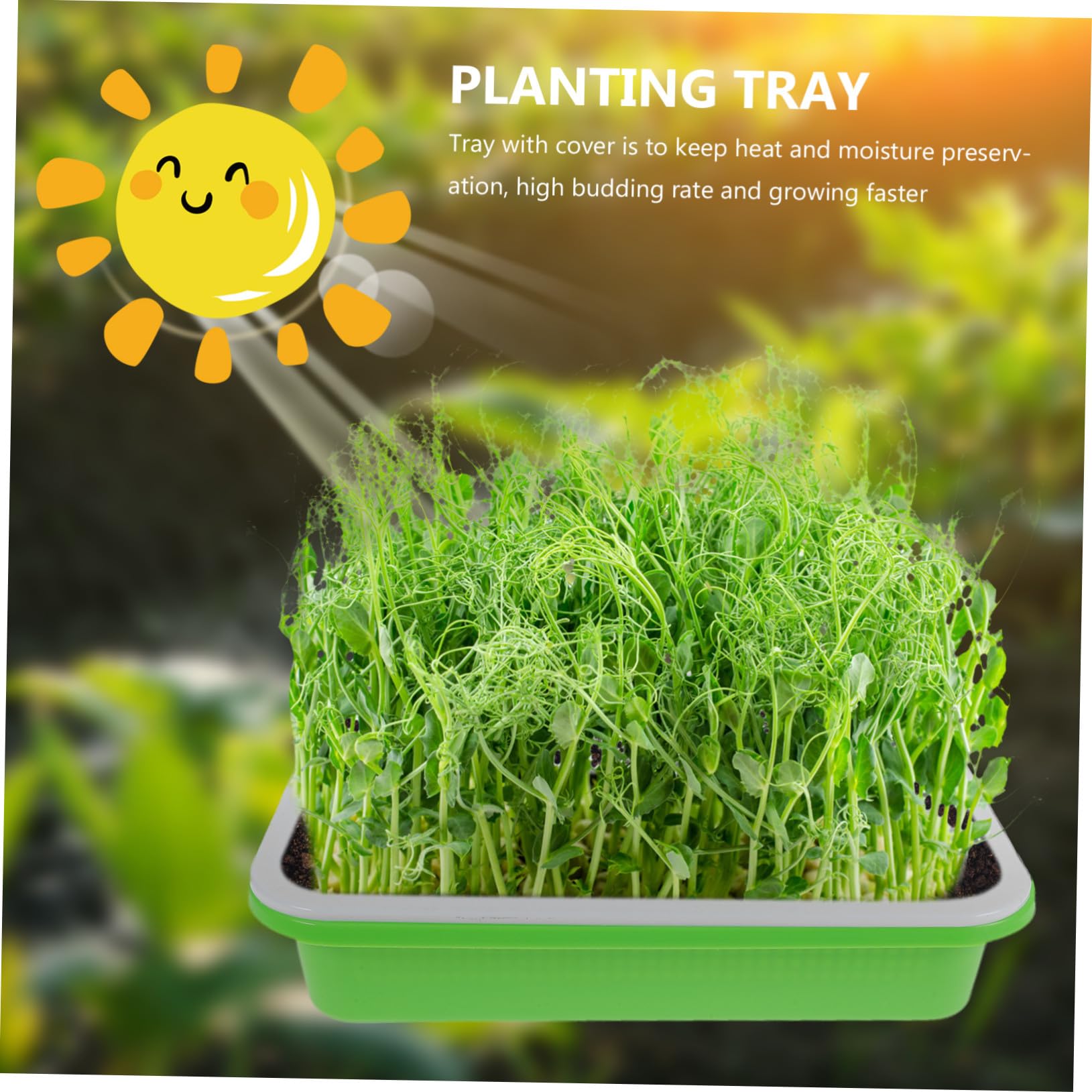 Bandeja para Germinadores Verde Tapa, 2 Juegos de Plástico | Cultivo sin Tierra, Conservación de Humedad, Diseño Seguro para Semilleros y Brotes Estilo Aleatorio