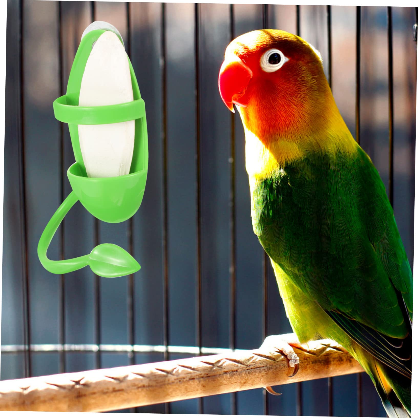 BESPORTBLE 4 Juegos Cuenco para Comer Aves Jaula pájaros Comida Soporte Herramientas comedero para periquitos porronet Juguete Estante alimentación la Jaula comedero para Loros