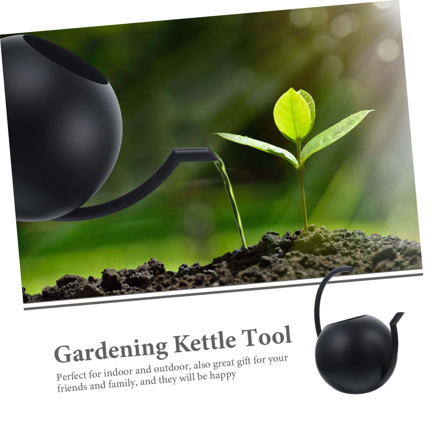 Arrosoir Simple 1l en Acier Inoxydable Noir pour Plantes et Maison