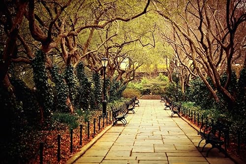 Foto de la ciudad de Nueva York del Jardín Central Park, fotografía fresca decoración de la pared Póster 36 x 24