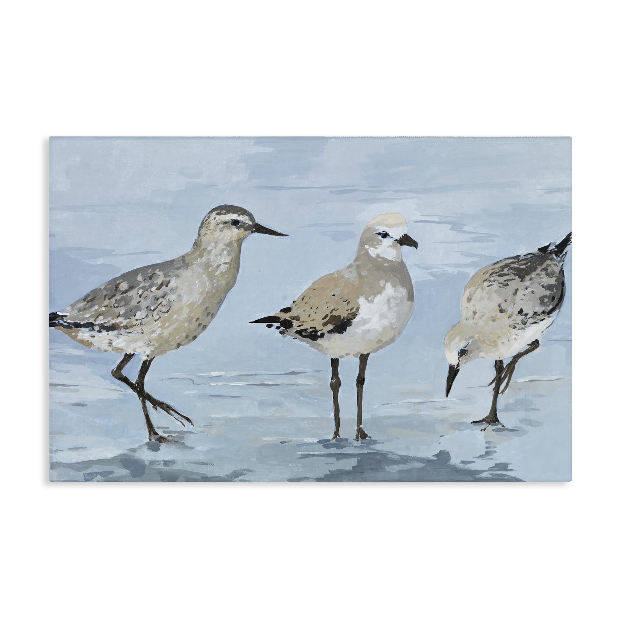 Stupell Industries 'Sandpipers Beach Coastal Scene', Canvas Art, 30 x 20