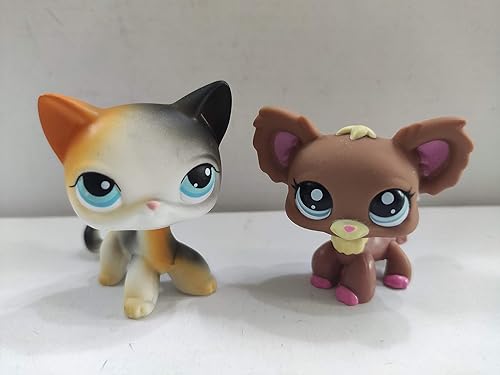 2 unidslote set Littlest Pet Shop LPS gato gatito Chihuahua lps figura juguetes raros