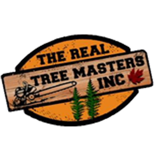 Real tree Shopping Online In Pakistan