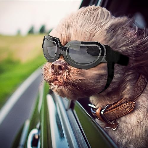 NAMSAN Gafas de sol para perros pequeños, protección UV, ajustables, transparentes, fáciles de usar, resistentes al viento, para motocicleta,