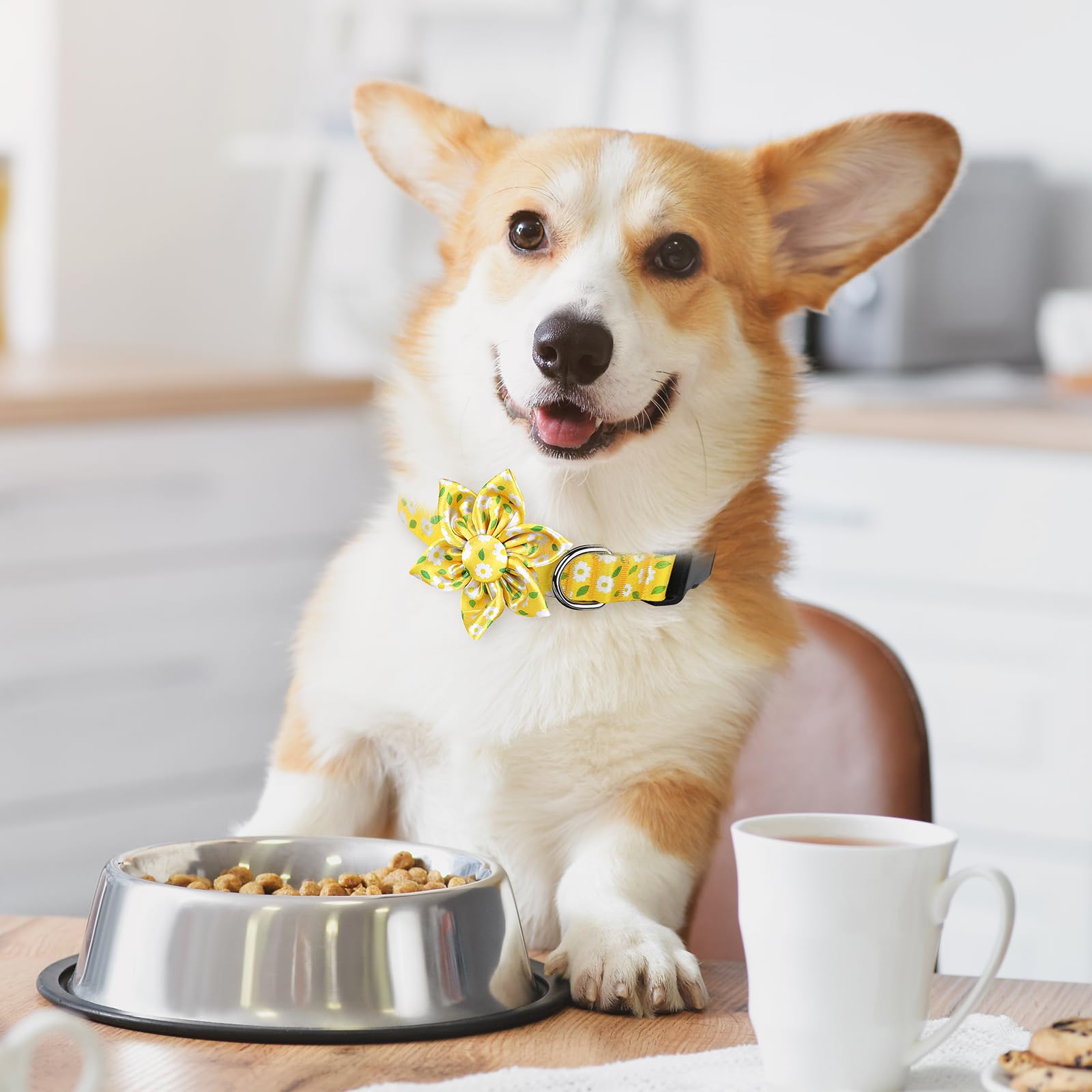 BiPawTi Floral Dog Collar with Bloom Decoration - Image 2