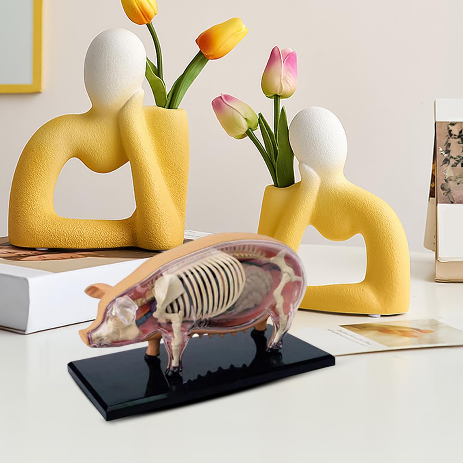 Modelli Di Anatomia Animale Per Bambini, di Anatomia Suina | Veterinaria - Giocattolo Scientifico Biologia Smontabile Strumenti Didattici per Studenti Laboratorio Scuola Veterinaria - Ma