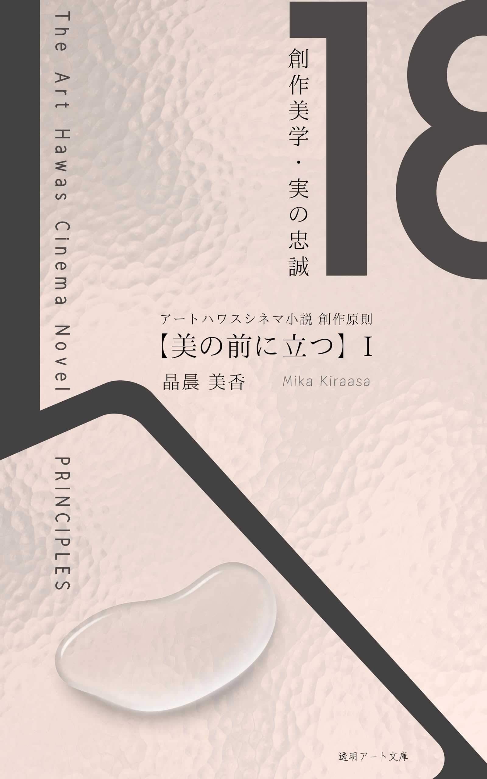 Art Hawas Cinema Novel livre esthétique création cinéma japonais Toumei Art Press