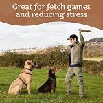 Wildfang® Olive Bâtons à mâcher en bois pour chiens, L – Jouets de Chew Tough pour les Chewers Agressifs, Jouets pour Chew Puppy pour les dents, Formation pour les Muscles de Chewing, Bâton de bois d'olive pour les chiens 25 kg (paquet de 1)
