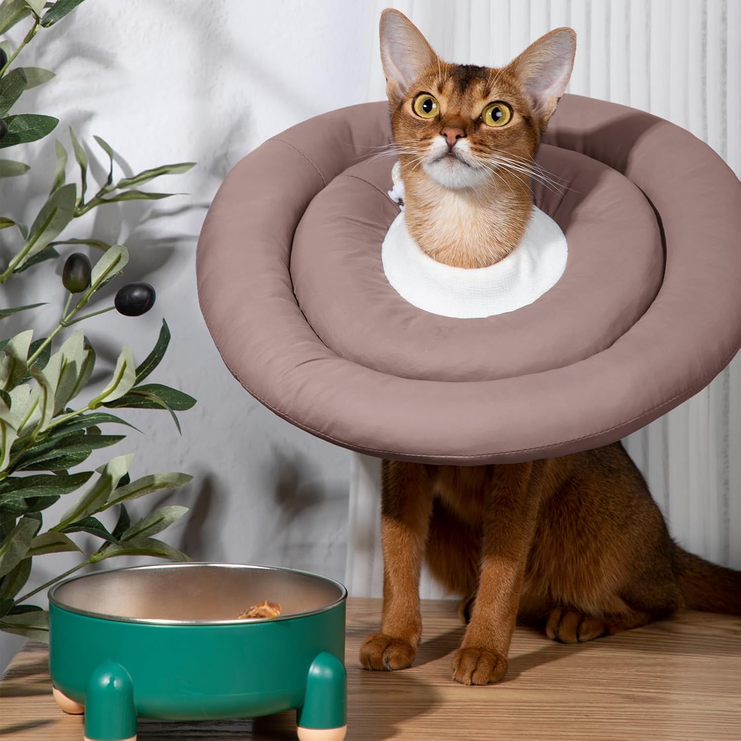 Comfortable Adjustable Soft Dog Cone Alternative After Surgery - Elizabethan Donut Collar for Cats, Medium Dogs and Small Dogs