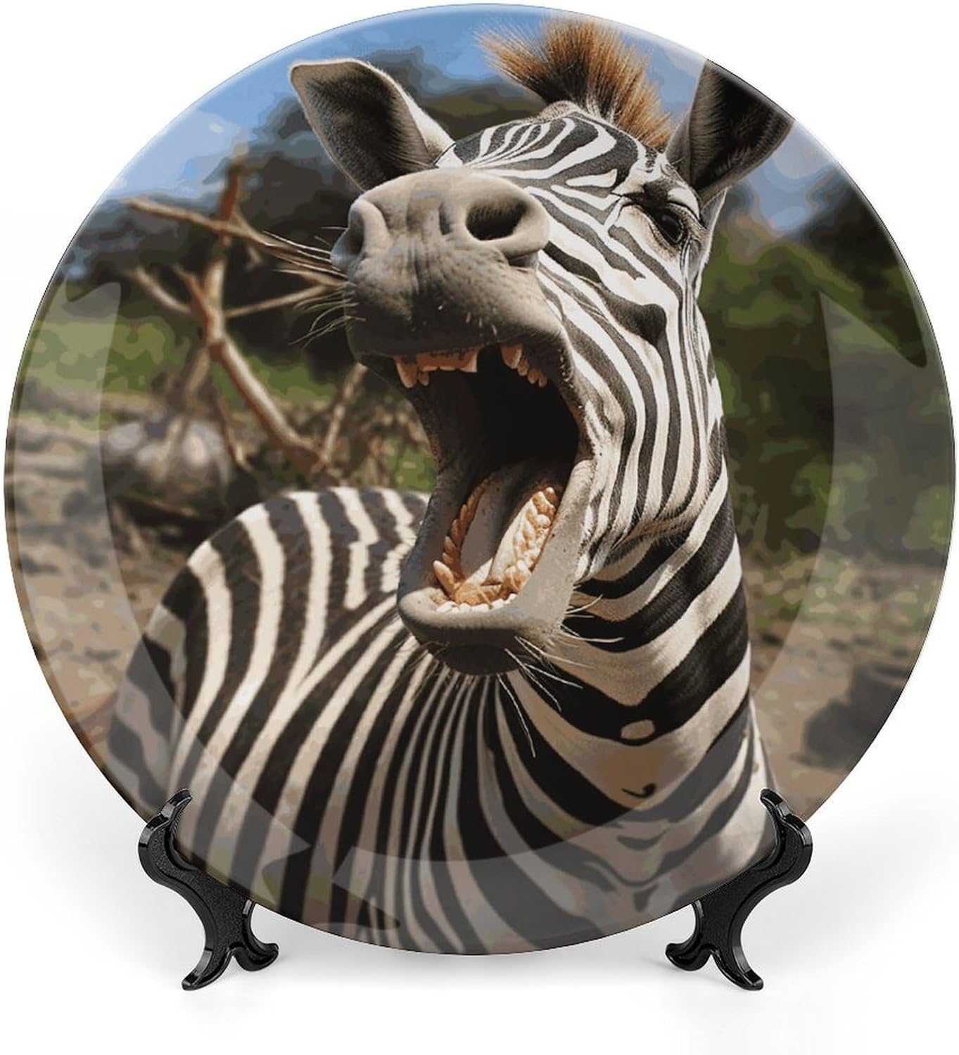 Funny Zebra Ceramic Decorative Plate for Office Decor, Chinese Style Decorative Dish with Stand, Dinner Dish Decorative Plates for Wall Hanging Bone Collections Plates 10inch