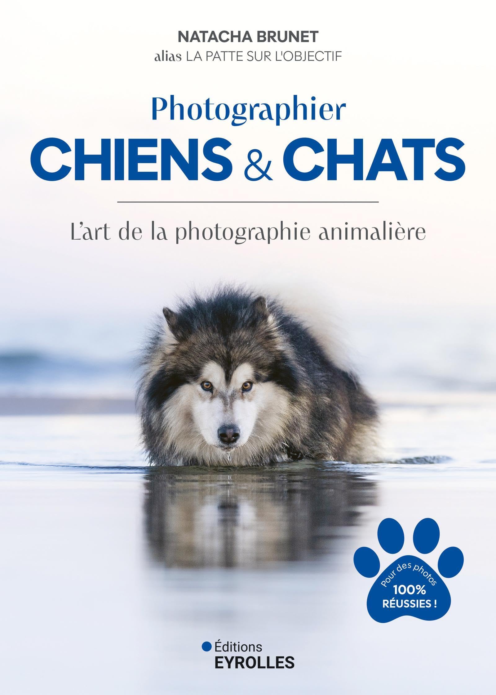 Photographier chiens et chats pour ne plus rater vos photos d'animaux en mouvement