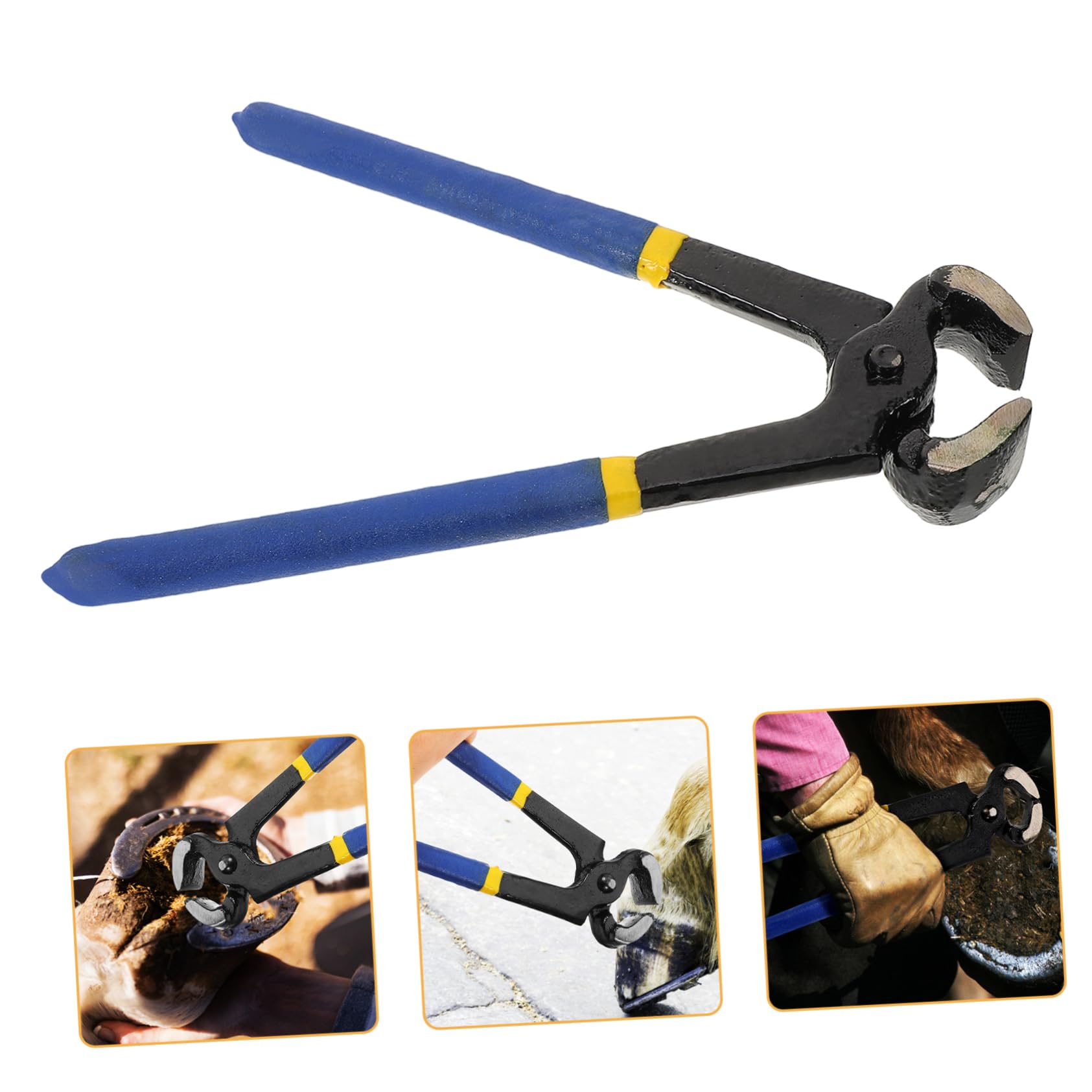 YARNOW 5 Uds Alicates De Corte De Pezuñas Herramienta De Corte De Pezuñas Herramienta De Corte De Herradura Recortadora De Zapatos De Caballo Tijeras De Pie De Caballo Tijeras De Pezuñas